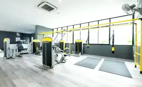 p Plus - 19