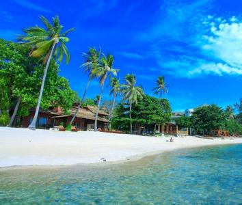 Koh Tao Beach Club - 145