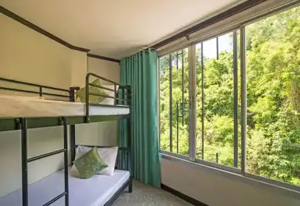 Green House - 7