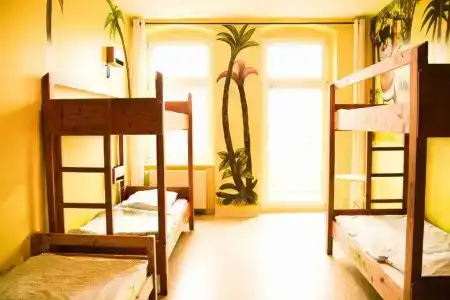 Sunflower Hostel Berlin - 61
