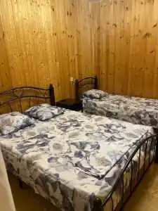 Светлана - 10