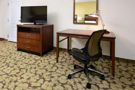 Hilton Garden Inn Airport - 59