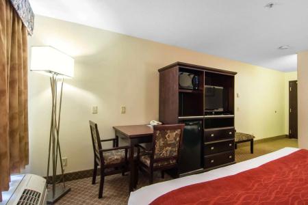 Comfort Inn & Suites Airport South - 5