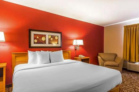 Quality Inn & Suites Chesterfield Village - 33