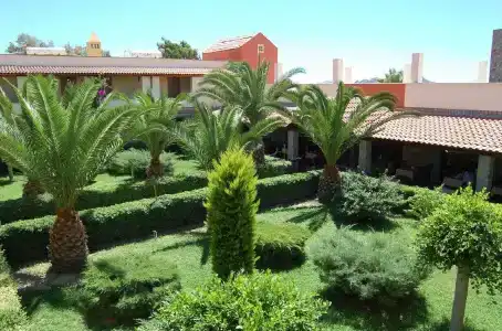 Tiana Beach Resort - 5