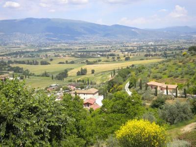 Il Poggio degli Olivi - 19