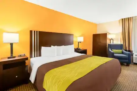 Comfort Inn 290/Nw - 41