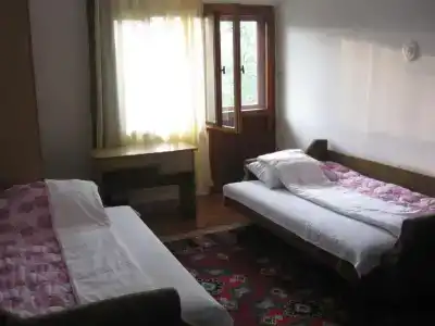 Guest house Pribojska Banja - 13