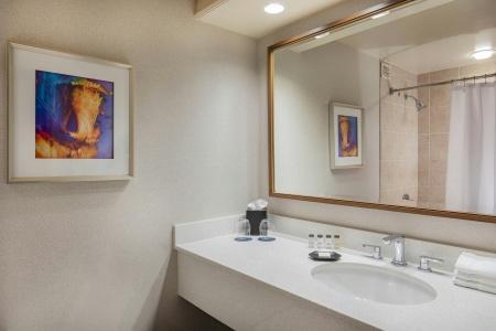 Sheraton Music City Nashville Airport - 36