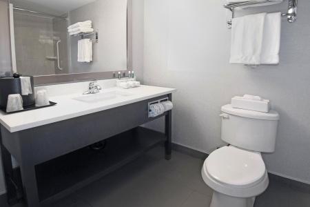 Holiday Inn Express and Suites, an IHG - 29
