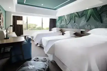 Sheraton Grande Tokyo Bay - 102