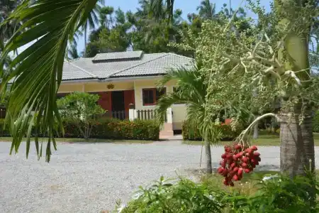 Apple Bungalows - 35