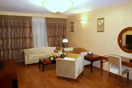 Ramada Plaza by Wyndham Gence - 6