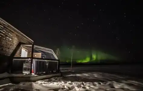 Arctic Fox Igloos - 56