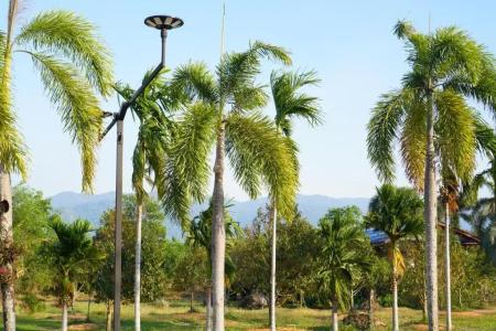 Green Terrace Resort - 54