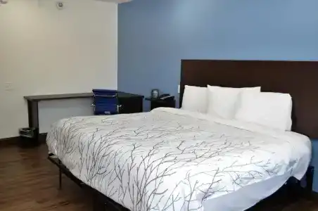 Athena Inn - 13