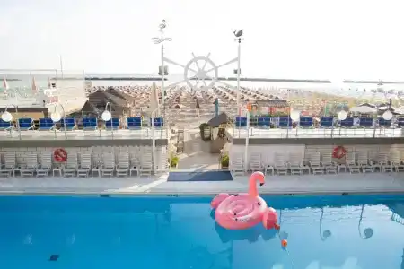 Flamingo - 12