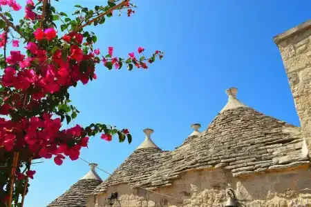 La Rosa Dei Trulli b&b - 37