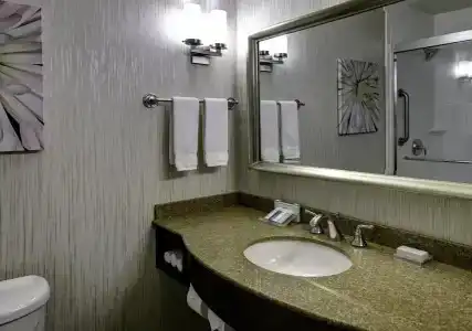 Hilton Garden Inn - 10