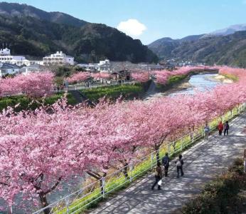 Shimoda Ocean Park - 17