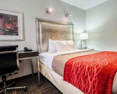 Comfort Inn Manhattan - Midtown West - 5