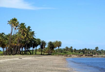 Grand Melanesian - 9