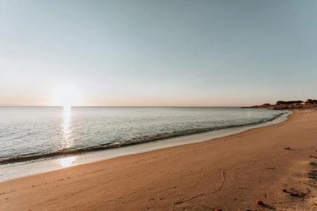 Fior di Sardegna - 42