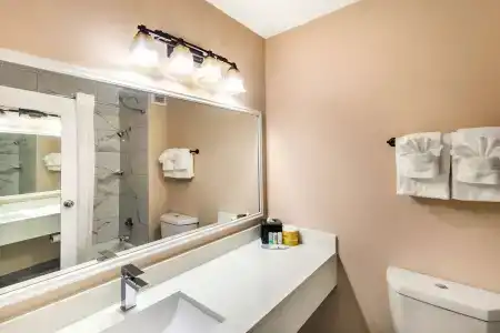Quality Inn & Suites - 10