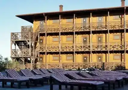 Диодон - 1