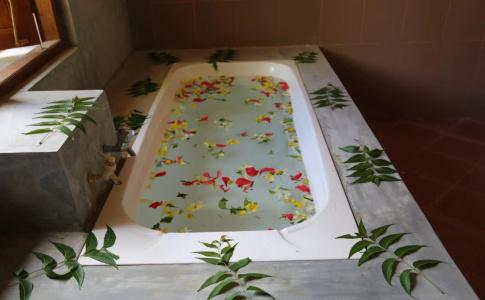 Pinthaliya Resort & Spa - 6