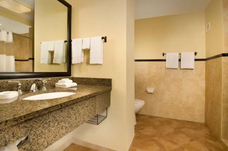 Drury Plaza San Antonio North Stone Oak - 34