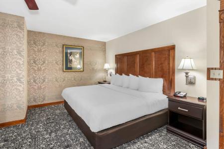 Quality Inn South - 48