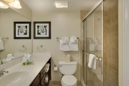 Bluegreen Vacations Patrick Henry Sqr, Ascend Collection - 8