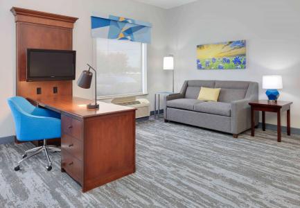 Hampton Inn & Suites Dallas-Arlington-South - 4