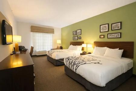 Sleep Inn & Suites -Eisenhower Boulevard - 29