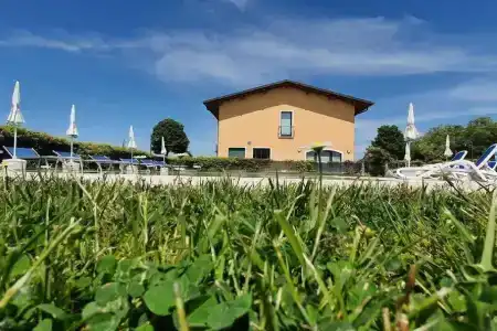 Agli Ulivi - 19