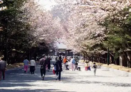 Resol Trinity Sapporo - 23