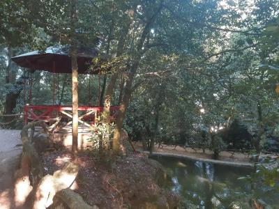 do Parque - 16