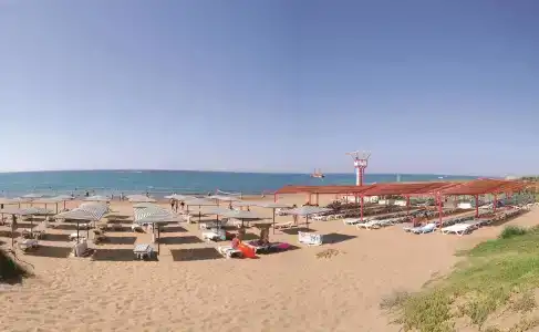 Sural Saray - 9