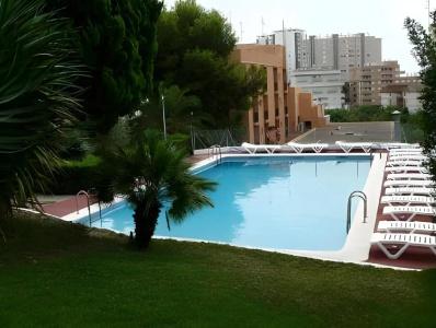 Jardín - 14