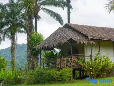 Khaosok Boutique Hideaway - 44