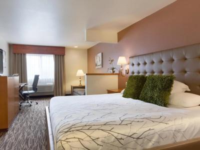 Best Western Plus Peppertree Airport Inn - 35