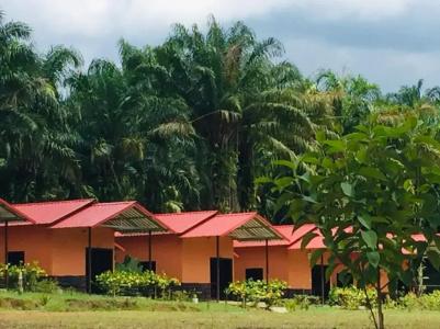 Khao Sok Evergreen House - 53