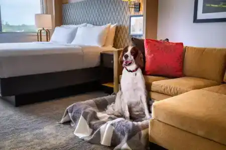 Holiday Inn Charlottesville-Monticello, an IHG - 31