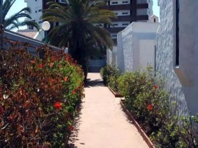 Bungalows Tenesoya Gay Men Only - 22