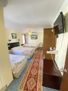 Sevin Pension - 31
