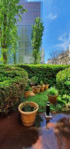 ibis Styles Paris Tolbiac Bibliotheque - 43