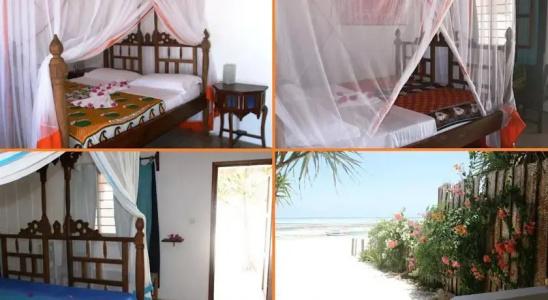 Simba Beach Zanzibar - 24