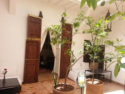 Riad Azza - 19