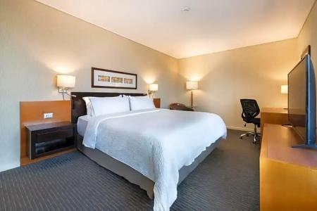 Holiday Inn Express Las Condes - 107